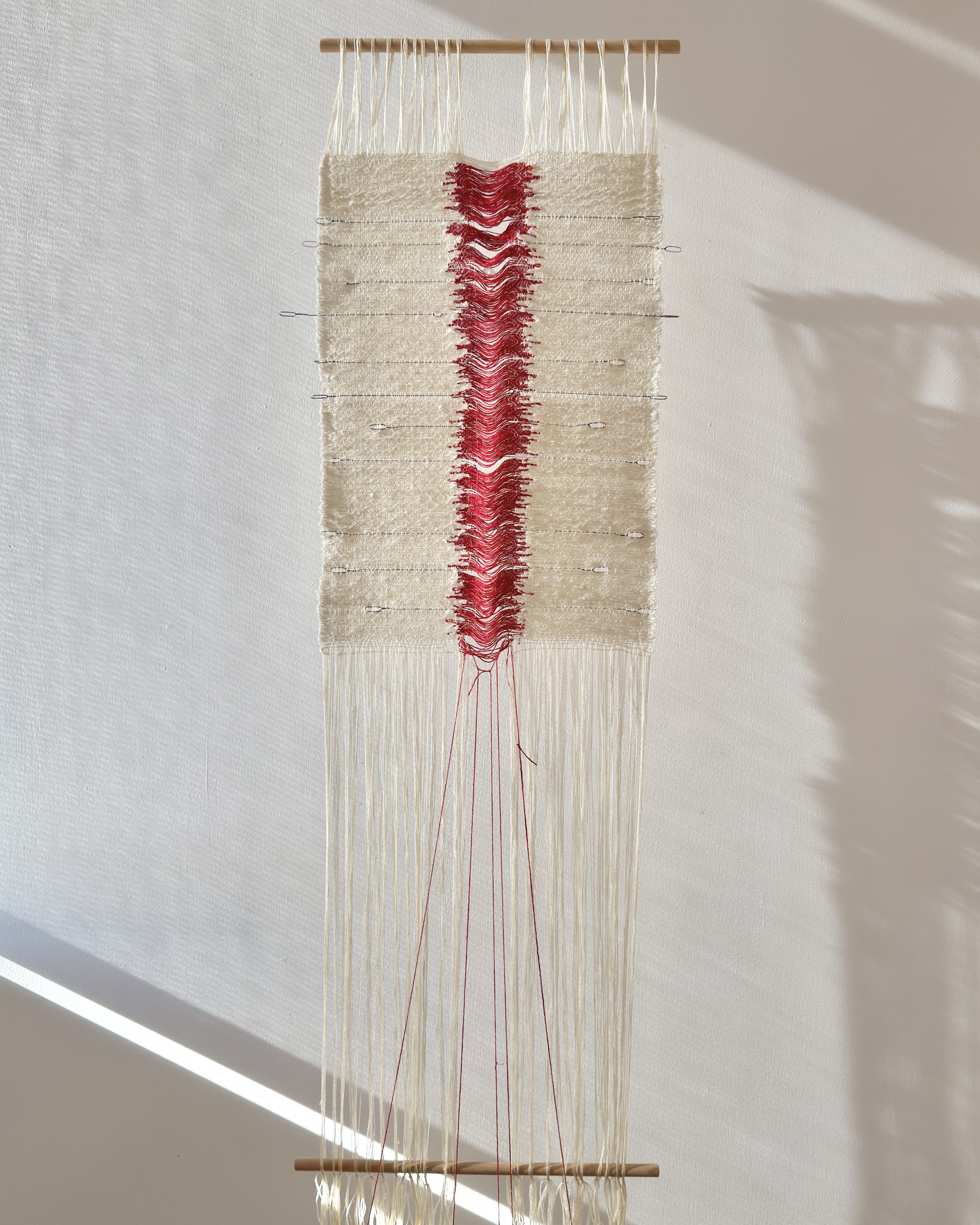 Wound artwork by Zara Shahi
