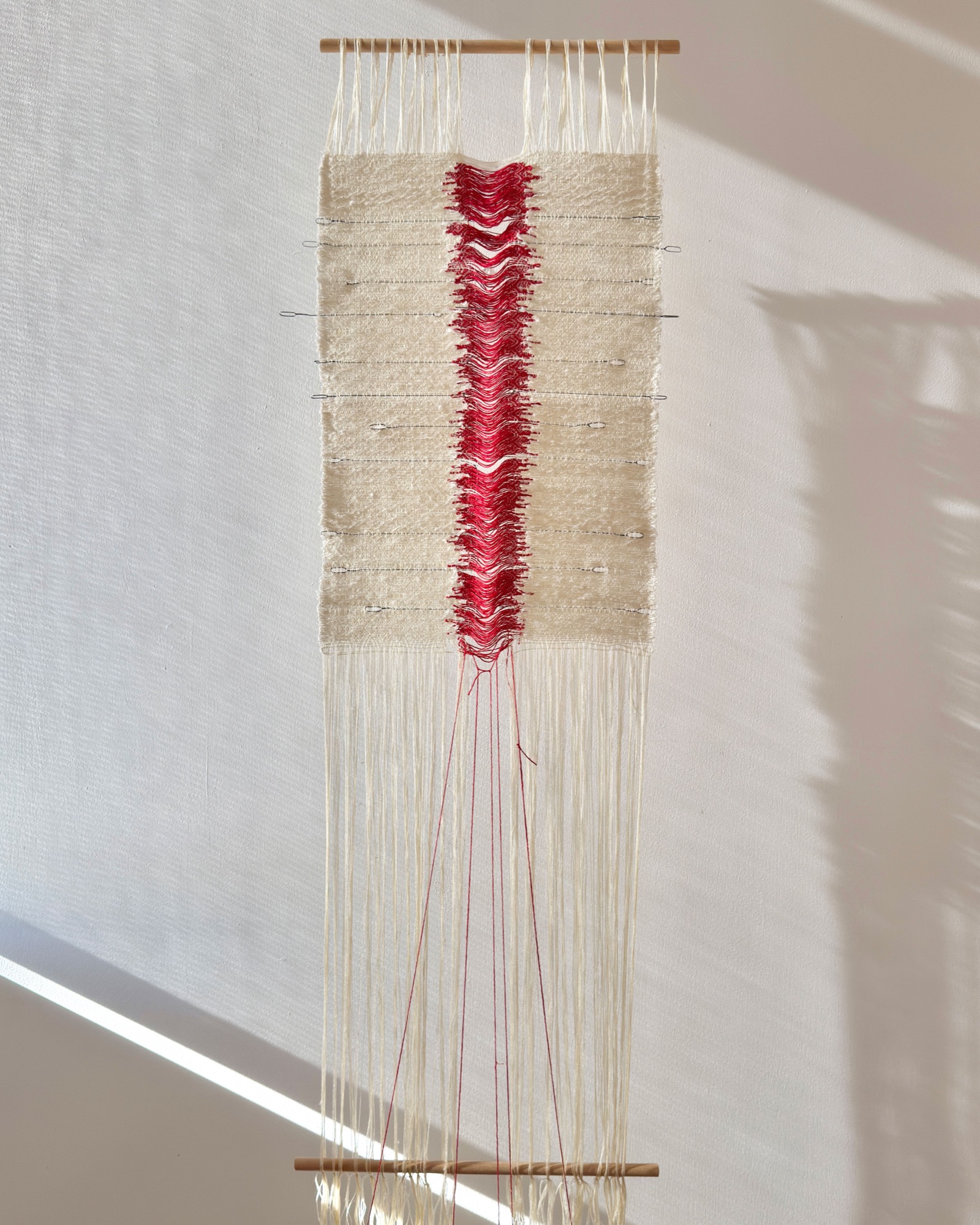 Wound artwork by Zara Shahi